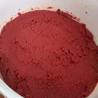 رب خانگی