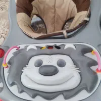 سرویس کالسگه