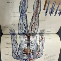 کتاب مرجع بدن انسان