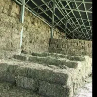 خرید پرس یونجه