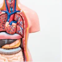 تدریس زیست شناسی و زبان اماده سازی برای امتحانات