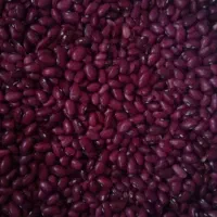 لوبیا قرمز