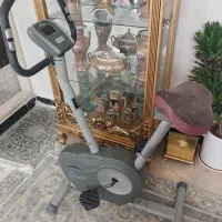 دوچرخه ثابت
