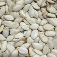 فروش تخمه مرمری یا صدفی|خوردنی و آشامیدنی|سده (فارس), |دیوار