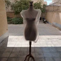 مانکن و چوبکار