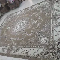 قالب دوازده متری|فرش|تربت جام, جامی|دیوار