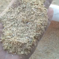 آردجو تمیزیارمه|لوازم جانبی حیوانات|آق قلا, |دیوار