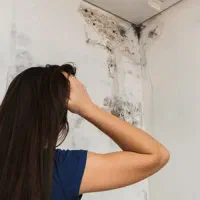 رفع نم و رطوبت بدون خرابی با مواد نانو