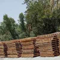 فروش پالت چوبی لیفتراکی