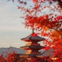 بهار امسال رو زبان ژاپنی یاد بگیر