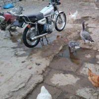 یک عدد رینگ دوچرخه