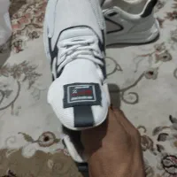 کفش|کیف، کفش، کمربند|تهران, هلال احمر|دیوار