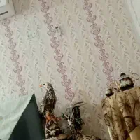 اجاره خانه درهشهر.جهانگیرآباد|اجارهٔ خانه و ویلا|دره شهر, |دیوار