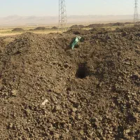 کود دامی حیوانی