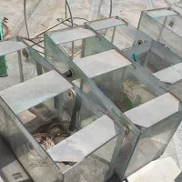 آکواریوم و پمپ آکواریوم