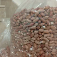 بادام زمینی برشته|خوردنی و آشامیدنی|پارس‌آباد, |دیوار