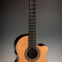 آموش گیتار پاپ و کلاسیک ( تضمینی )