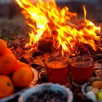 تور گردشگری