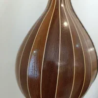 سه تار حرفه ای