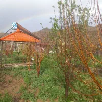 باغ ویلای  ۱۰۰۰ متری دماوند