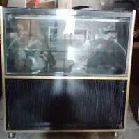 ویترین دوطبقه شیشه|بوفه، ویترین، کنسول|دهدشت, |دیوار