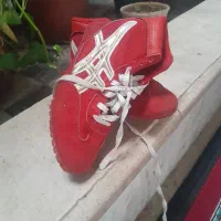 کفش بوکس