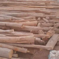 چوب سقفی (تیجه )|عمده‌فروشی|مشهد, شهرک صنعتی مشهد|دیوار