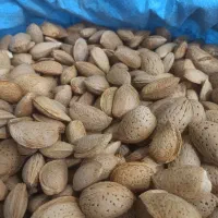 گردو و بادام|خوردنی و آشامیدنی|خور (اصفهان), |دیوار