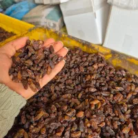 کشمش آفتابی کاشمر