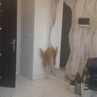 ساختمان اداری تجاری|اجارهٔ دفتر کار، اتاق اداری، مطب|فیرورق, |دیوار