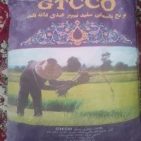 برنج هندی GTC