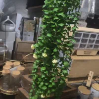 شمشاد ۱۶ شاخه|گل مصنوعی|اهواز, آریاشهر|دیوار