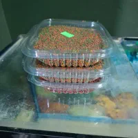 ۳ عدد غذای ماهی گوشت خوار  استفاده نشده ۳۰۰ تومن