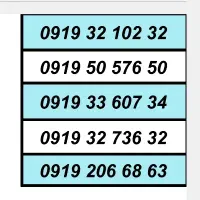 0919.5051541|سیمکارت|تهران, تهرانسر مرکزی|دیوار