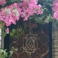 خانه ویلایی جهت انبار داده میشود