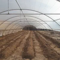 نصب و جوشکاری گلخانه  خانگی و صنعتی|خدمات پیشه و مهارت|هامون, |دیوار