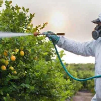 انجام کلیه امور باغبانی در محل و هرس با اره برقی