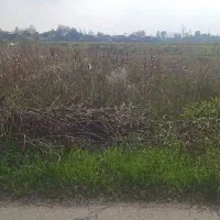 مزرعه‌کشاورزی400متر|فروش دفتر صنعتی، کشاورزی، تجاری|رودسر, |دیوار