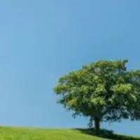 دنبال کار در منزل برای خودم هستم.