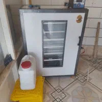 جوجه کشی ۵۰۴ تایی فاخته