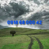 09186800040|سیم‌کارت|سنندج, |دیوار