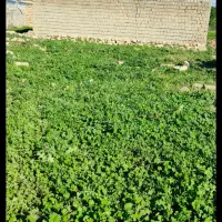 زمین مسکونی روستای سرتنگ علیا