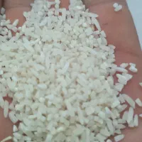 برنج لاشه هاشمی خالص بشرط خالص بودن