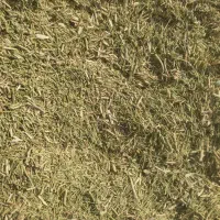 خارشتر برای دام و شترمرغ و گاو داری و عرق گیری|حیوانات مزرعه|شیراز, احمدی جنوبی|دیوار