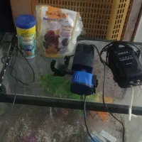 آکواریوم|لوازم جانبی حیوانات|اصفهان, ارغوانیه|دیوار