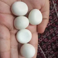 سنگ آسیاب|کلکسیون اشیاء عتیقه|باقرشهر, |دیوار