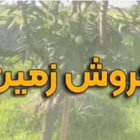 فروش ۹۰ متر زمین مسکونی فوری  سرمایه‌گذاری تخفیف