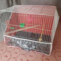 قفس کاسکویی قفس جفت گاه قناری فنچ نر فنج ماده