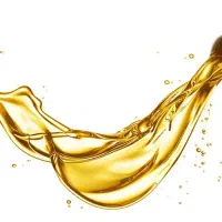 دعوت به همکاری