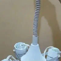 لوستر
